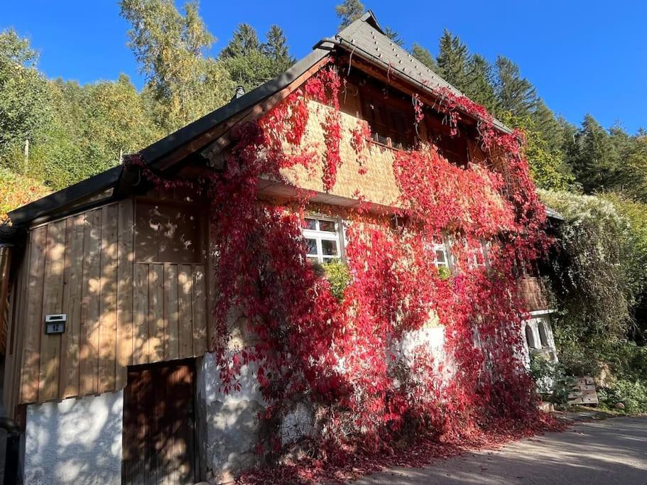 Auszeit Am Kreisbach Apartment Triberg im Schwarzwald